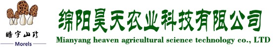 &#20048;&#40060;