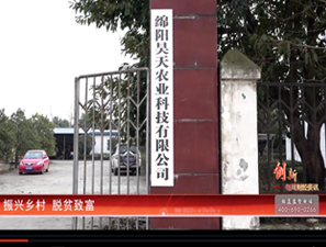 &#20048;&#40060;