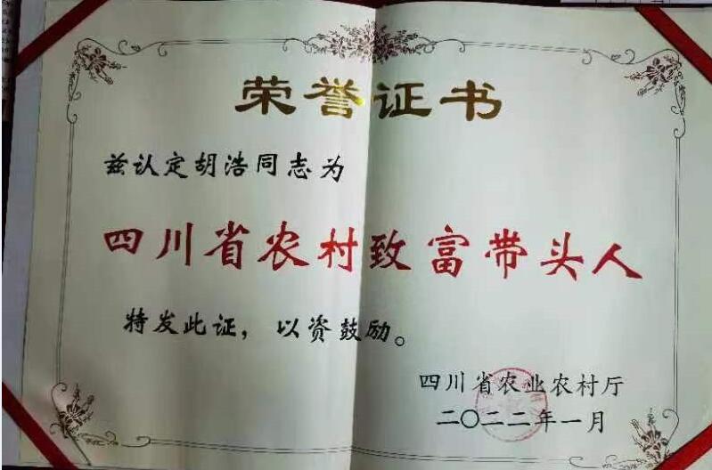 &#20048;&#40060;